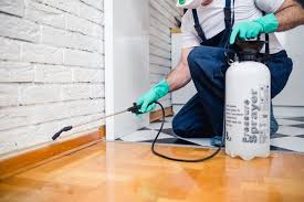 Emergency Pest Control Services in Lawrence, MA